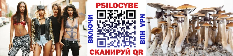 Псилоцибиновые грибы Psilocybe  где продают   Белебей 